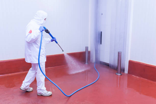 Best Soft Washing for Delicate Surfaces in Haw River, NC